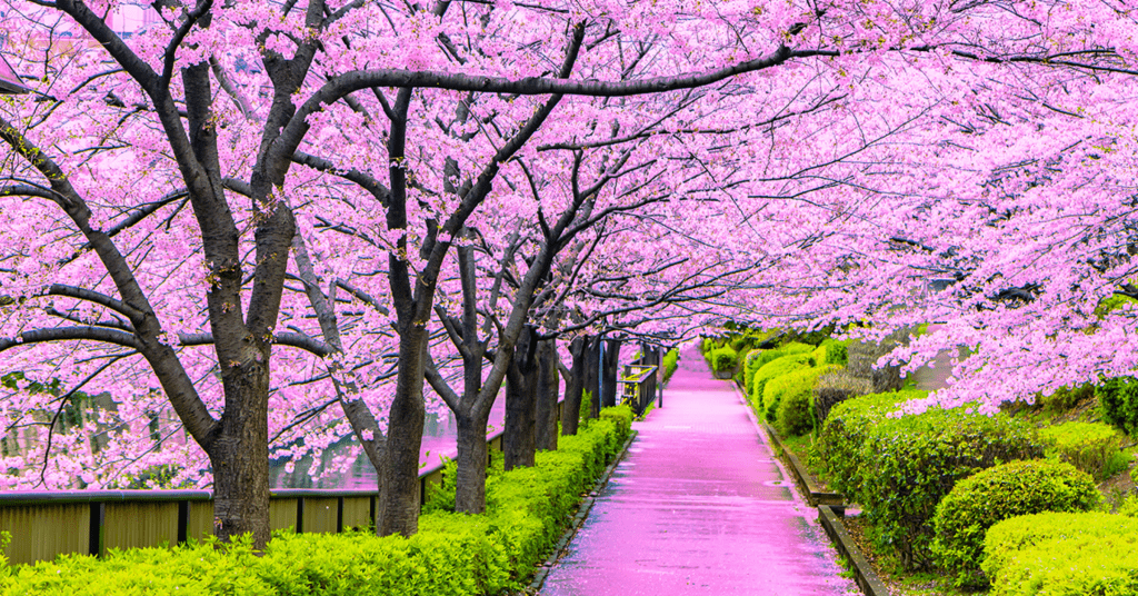 Konenki Japanese Menopause